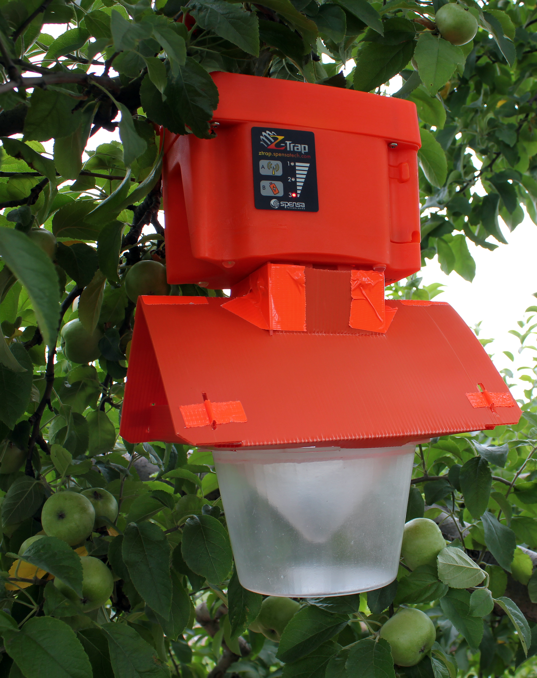 New Agricultural Electronic Insect Trap Saves Labor Monitors Insect