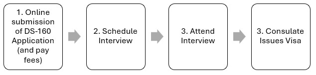 visa processing steps