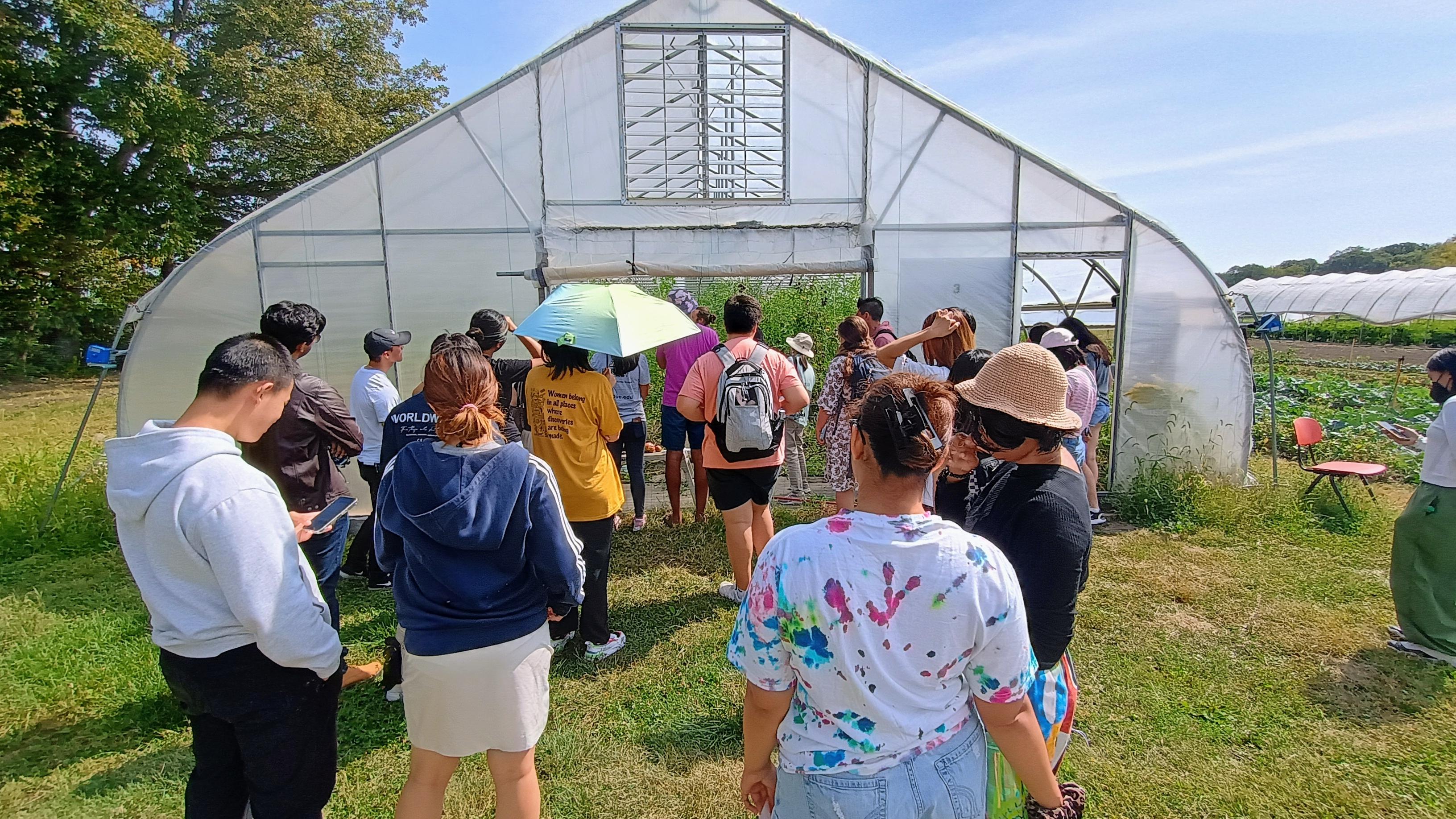 students-having-Lunch-and-Learn-in-the-Student-Farm-with-Chris-2024