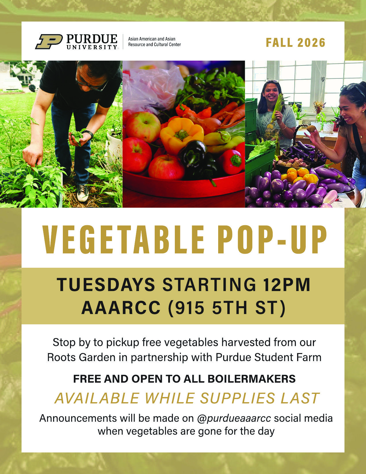 Vegetable Pop-up Flyer