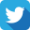 Twitter Logo