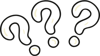 Questionable Transaction Report