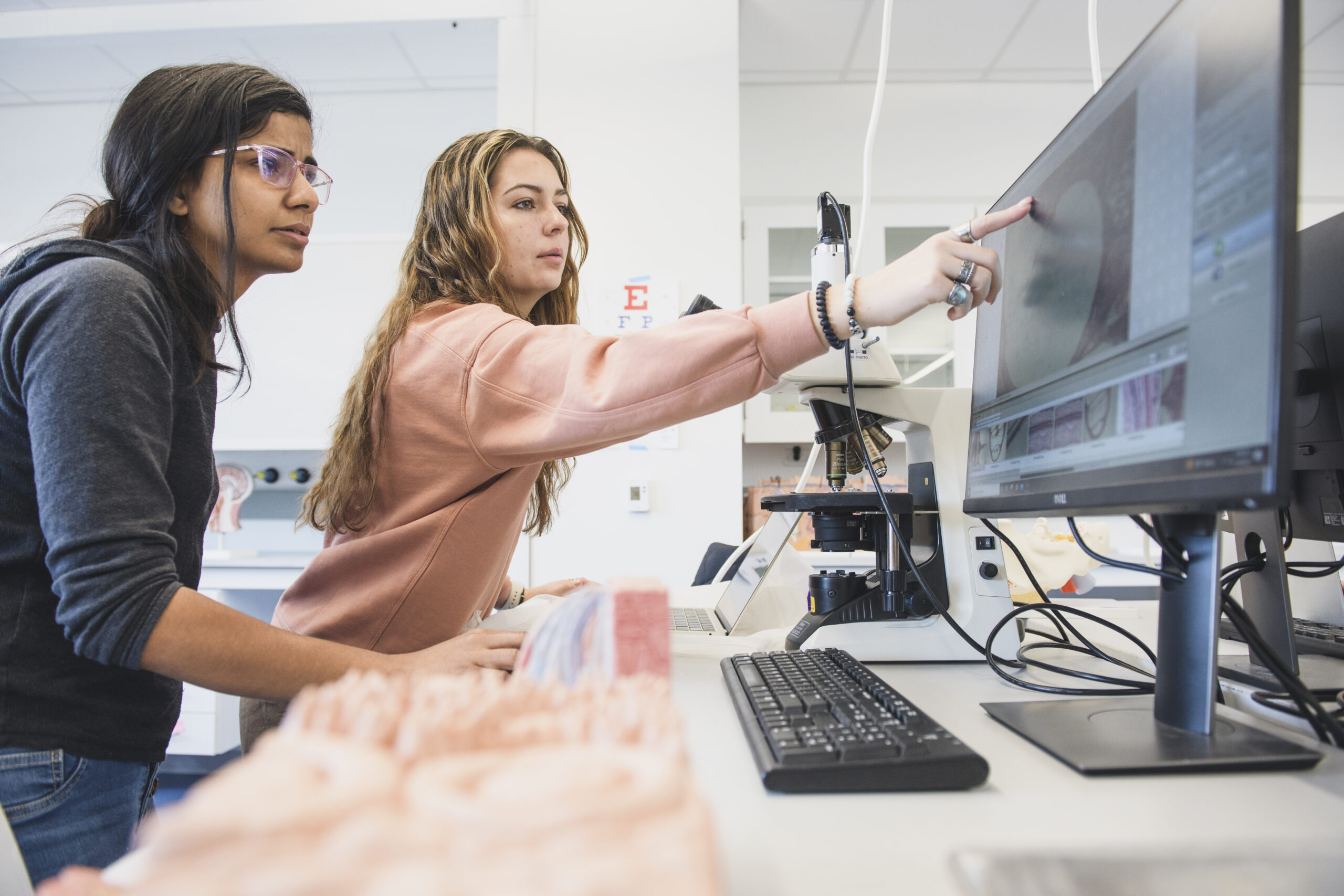 Students in a lab