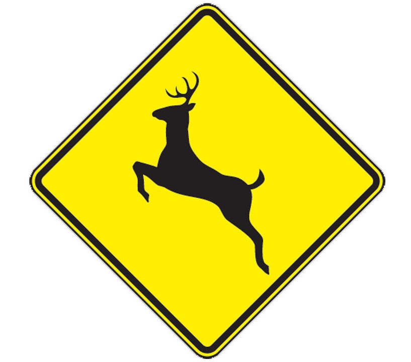 Blog Post, Do Deer Whistles Actually Work?