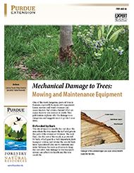 Mechanical Damage to Trees Publication