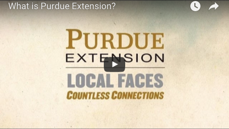 What is Extension video