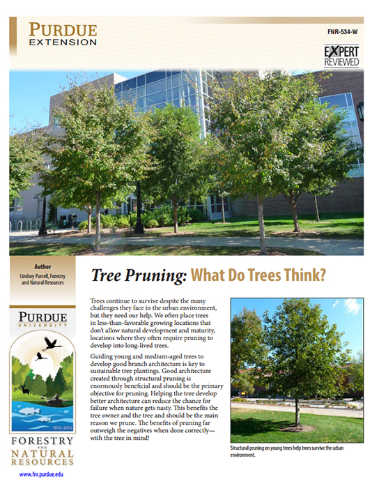 Publication: Tree Pruning: What Do Trees Think? | Purdue Extension ...