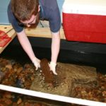 Mesker Park Zoo and Botanic Garden zookeeper, Bryan Plis, places a wild Eastern Hellbender into the new breeding raceway