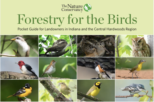 Promotional picture of Forestry for the Birds: Pocket Guide for Landowners in Indiana and the Central Hardwoods Region