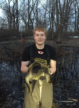 Snapping Turtle