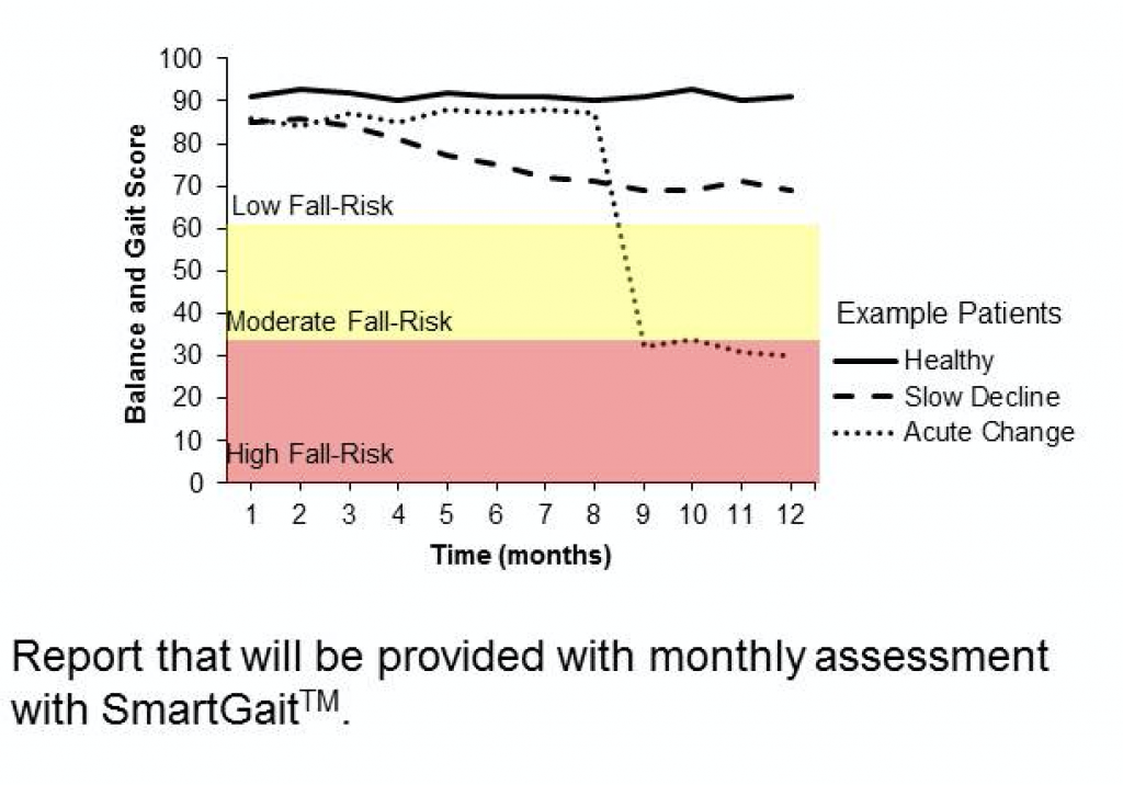 Report that will be provided with monthly assessment with SmartGait.