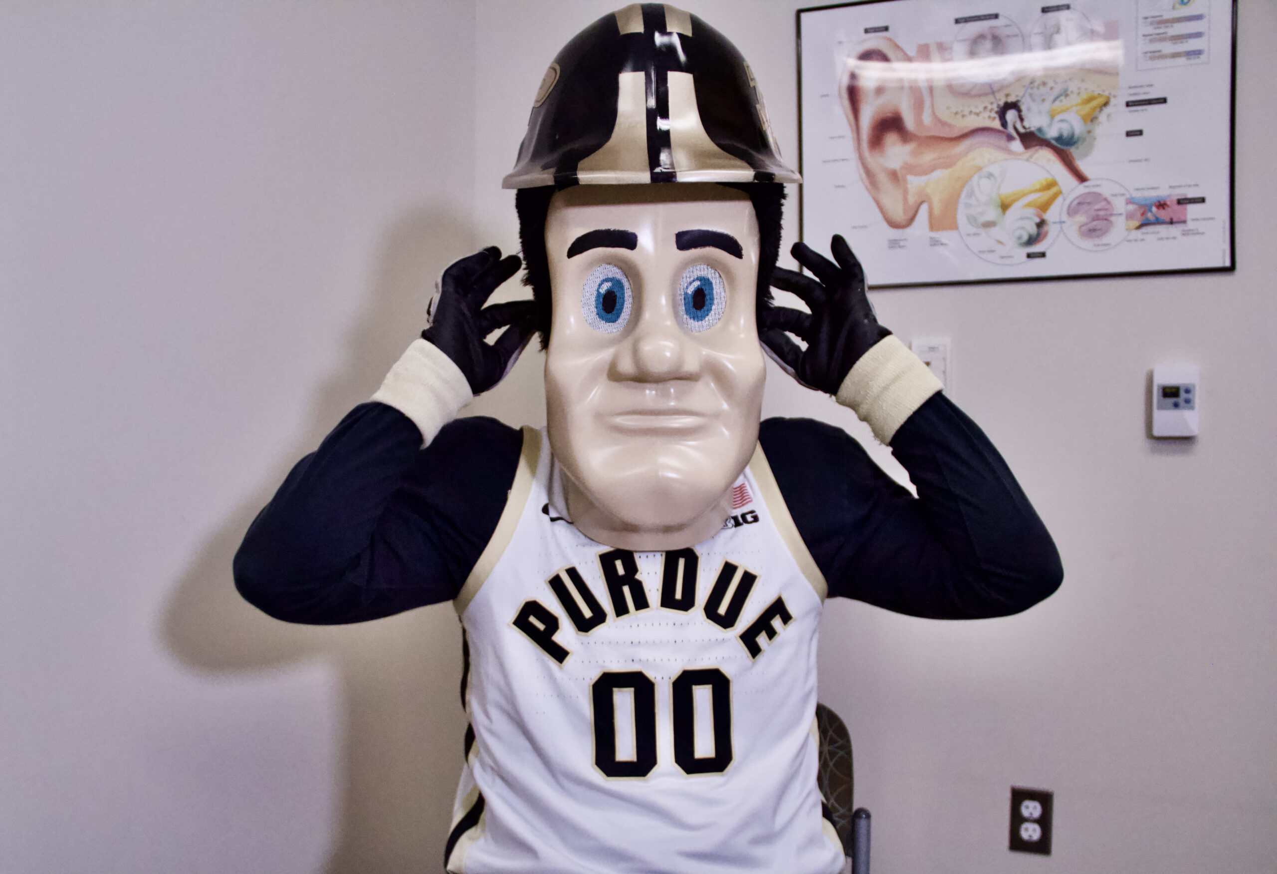 Purdue Pete puts in ear plugs in the M.D. Audiology Clinic.