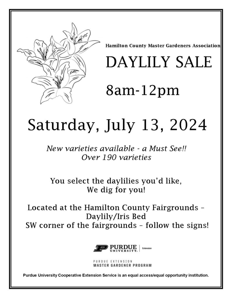 Daylily Sale Flyer.