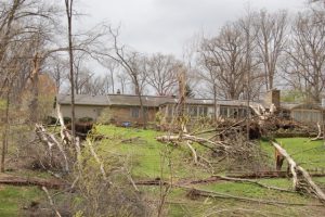 Photo of storm damaged, fallen trees in the yard of a house. Caption reads, Purdue Extension resources help homeowners cope with storm-damaged trees.