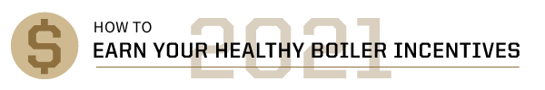 Earn Healthy Boiler Incentives