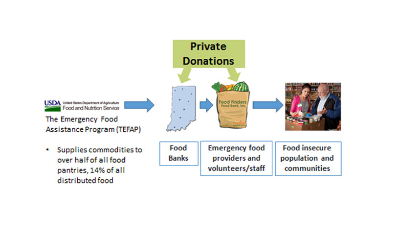 The Emergency Food Assistance Network 