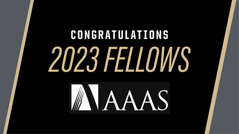 aaas 2023 fellows