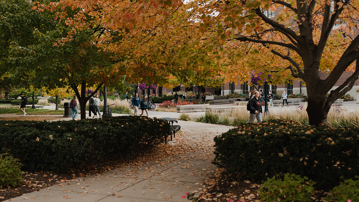 A sidewalk during the fall season at Purdue University.