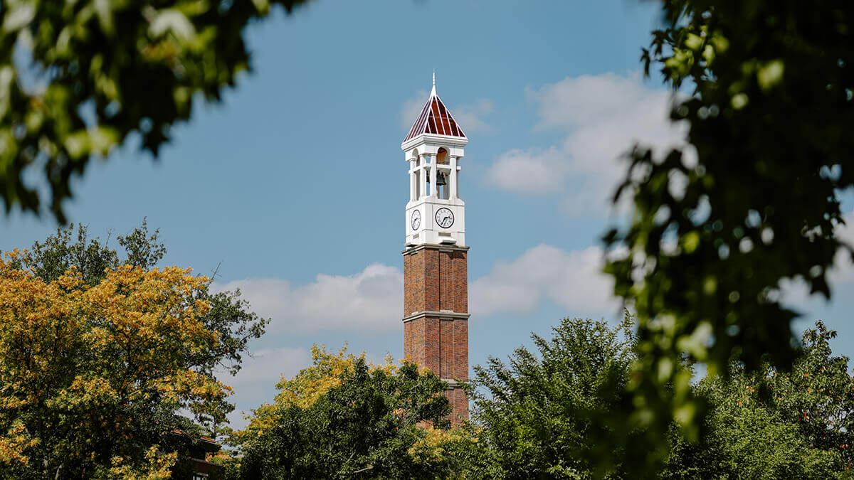 A picture of the Bell Tower through some trees.