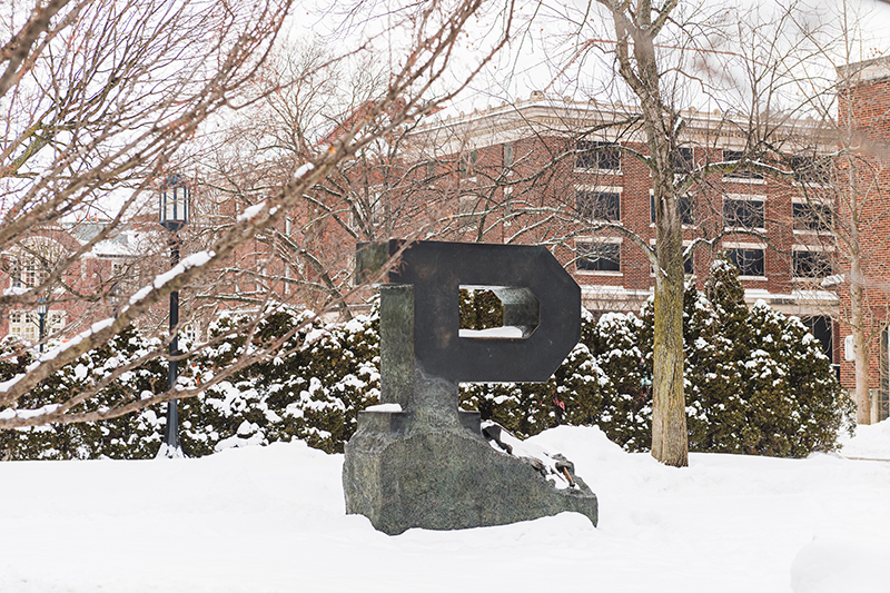 Unfinished P statue in winter.