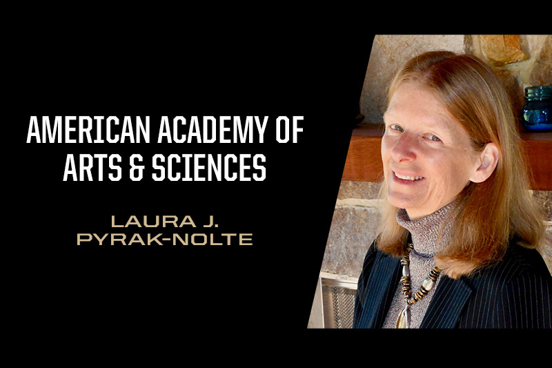 Academy of Arts and Sciences, Laura J. Pyrak-Nolte