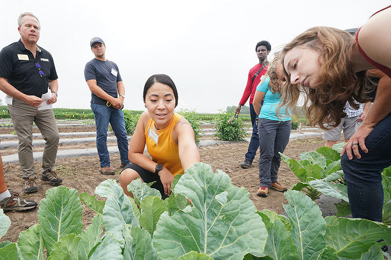 0724fruitvegfieldday