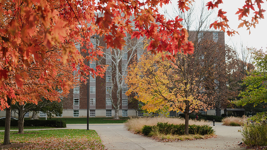 Multicolored fall leaves line the sidewalks near a large brick building in late afternoon sky.