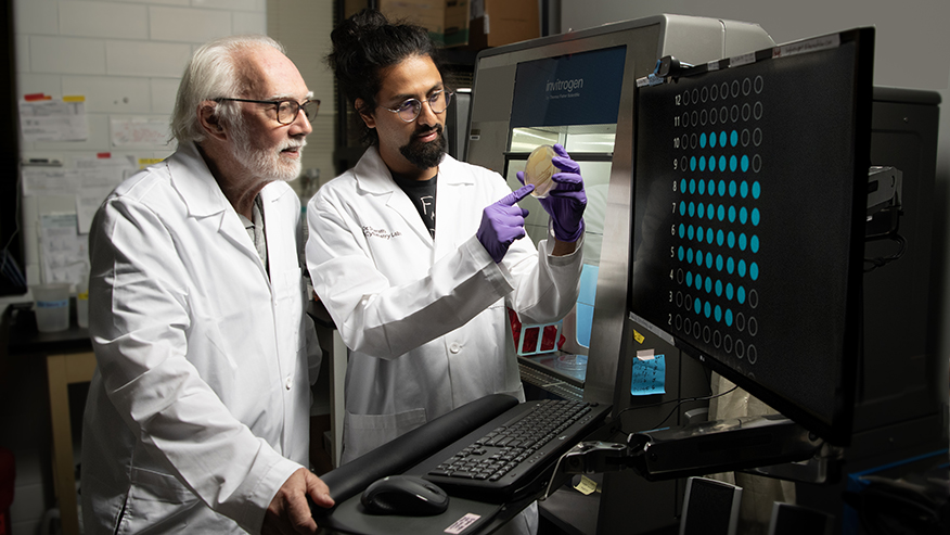 Purdue postdoctoral researcher Sharath Iyengar and professor J. Paul Robinson examine a sample plate in a lab in Lynn Hall.