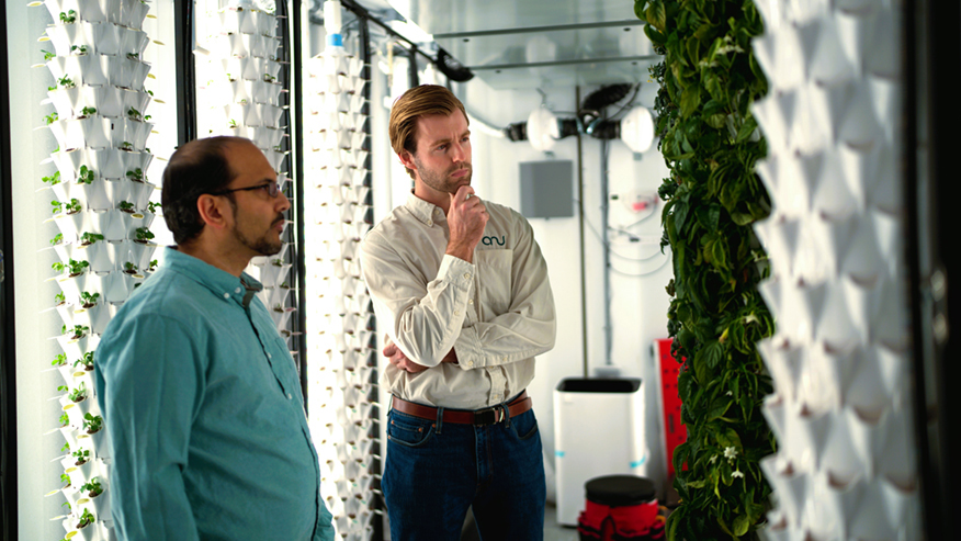 Two men wearing business attire look at green plants growing vertically in a white container system.