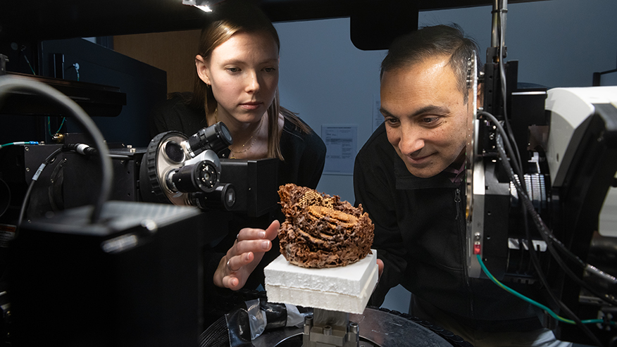 Nicole Balog and Nikhilesh Chawla look at a stingless bee honeycomb sample.