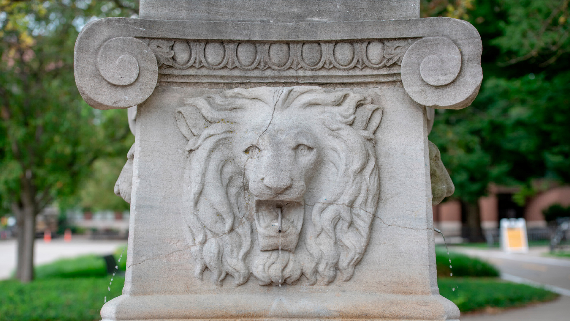 Stone Lion's Fountain