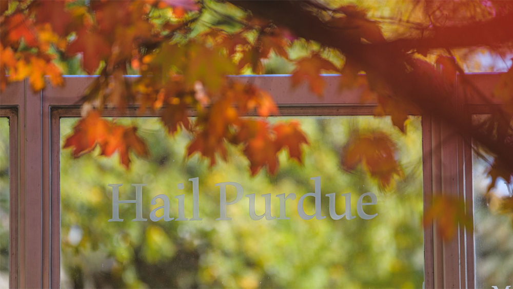 Health Education Presentations