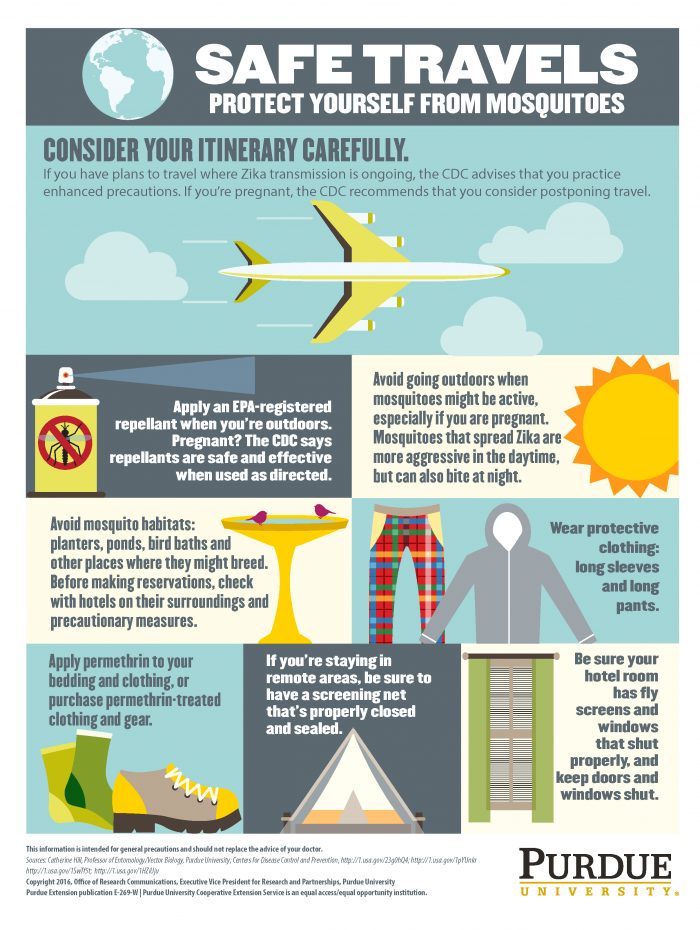 Safe travels: An infographic on Zika mosquitoes - Research at Purdue