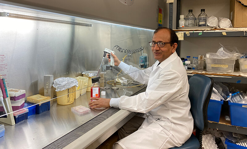 Dr. Suresh Mittal, Distinguished Professor of Virology in Purdue University's College of Veterinary Medicine