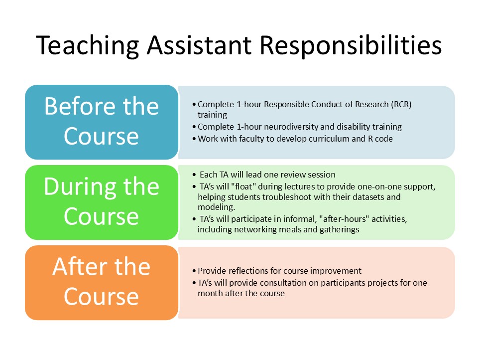 TA_responsibilities-graphic-MCAP-summer-course.jpg