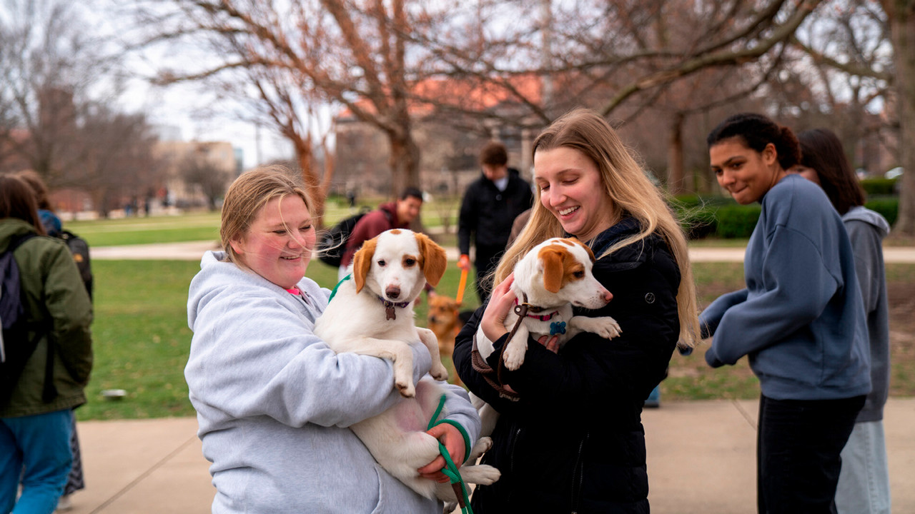Students enjoy the dogs during PSG's Cocoa and Canines event on campus. 