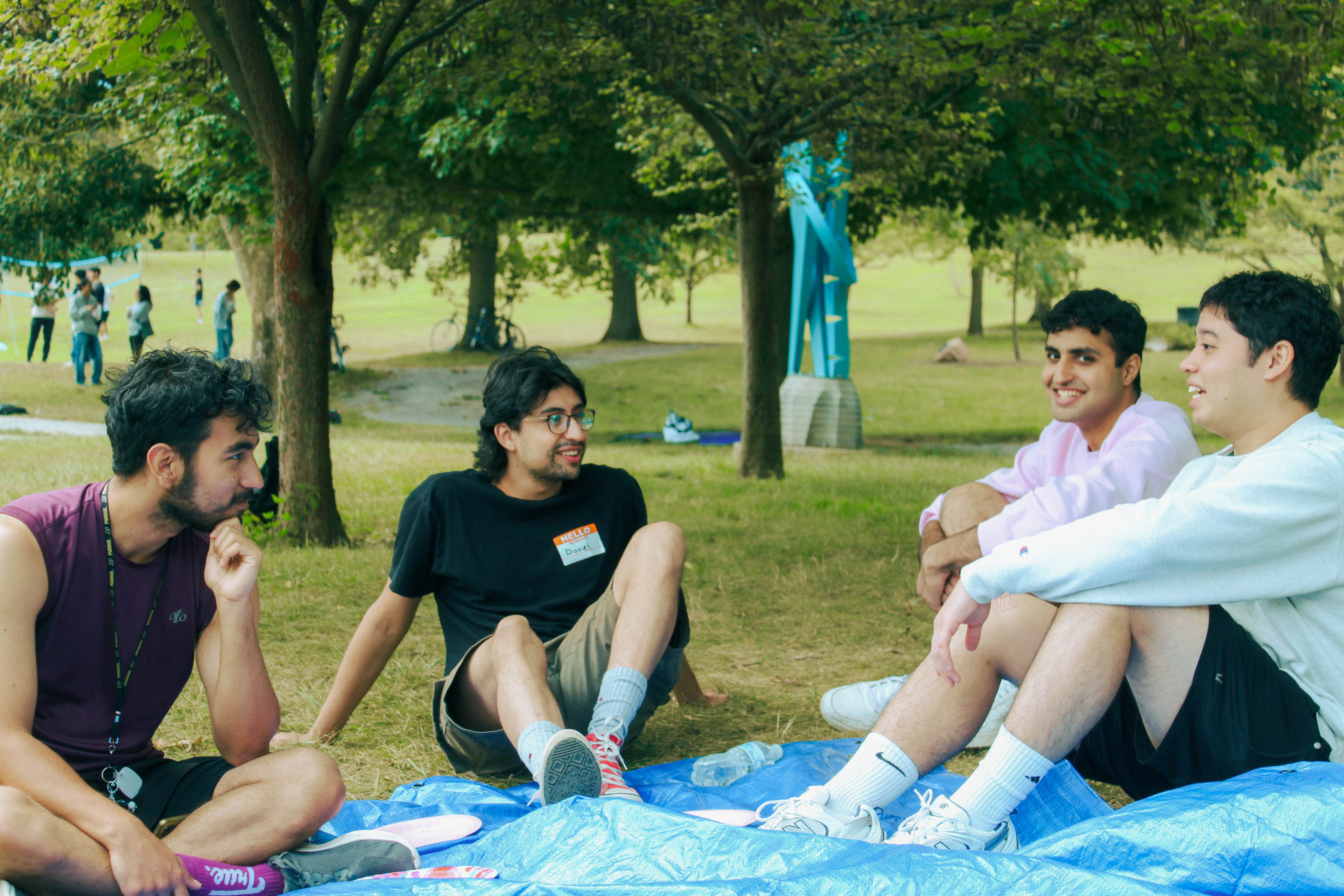 cookout picnic