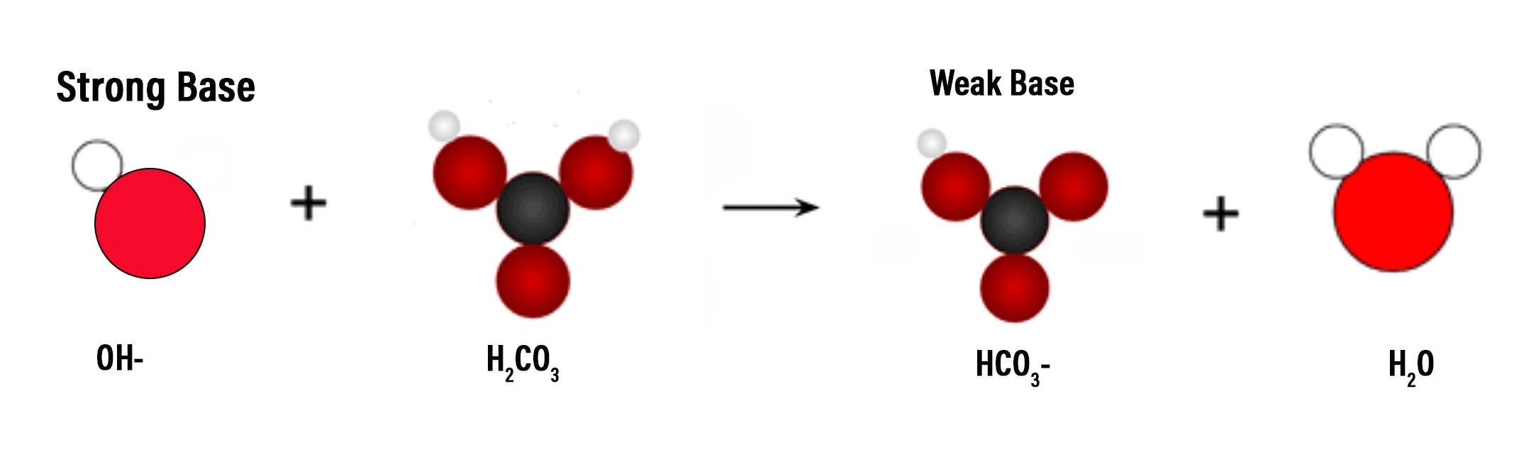 A strong base, like sodium hydroxide (NaOH) will dissociate completely in the solution causing the carbonic acid to release protons to replace those that will have bonded to the hydroxide ions to form water.