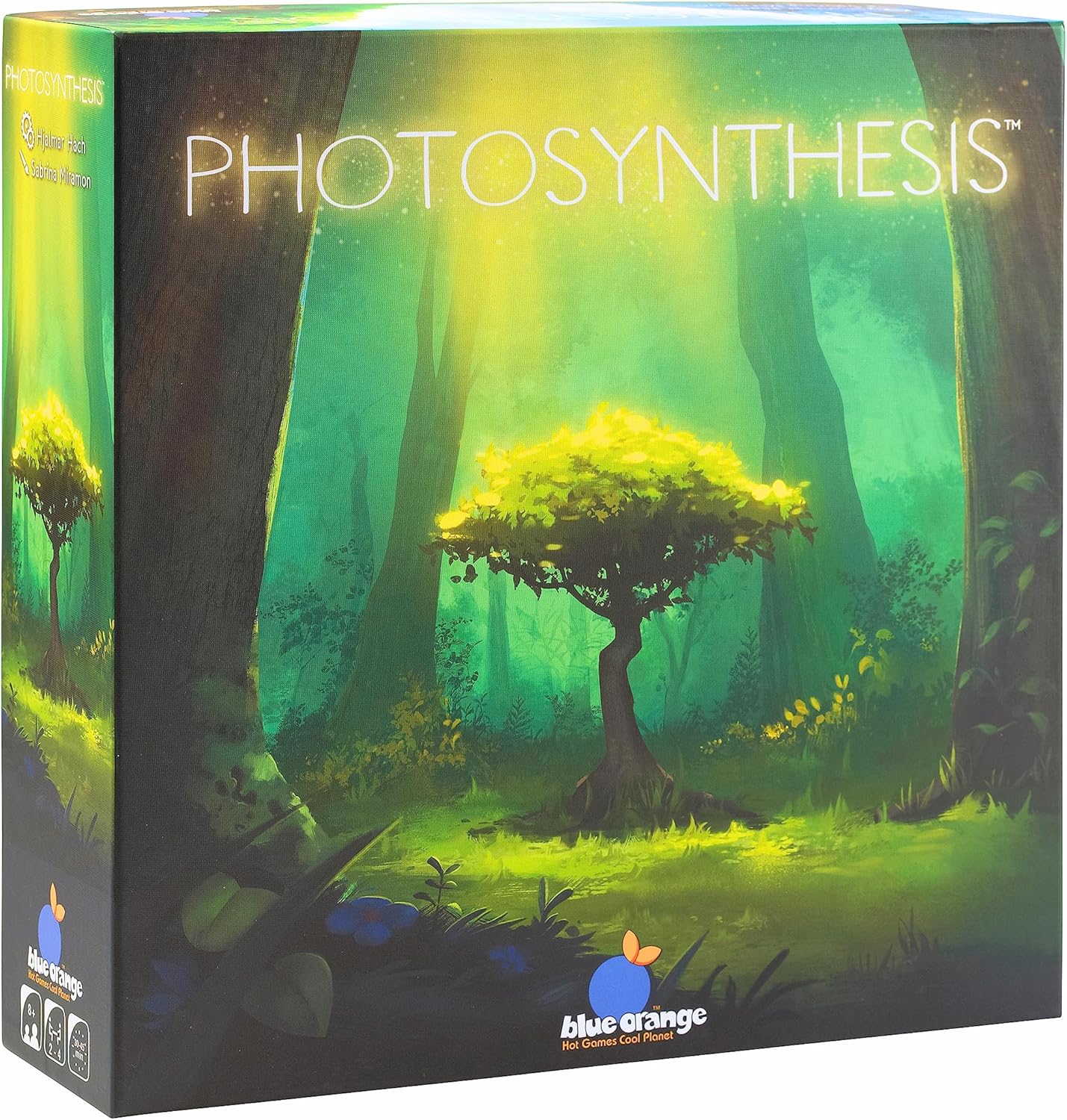 Photosynthesis the board game 