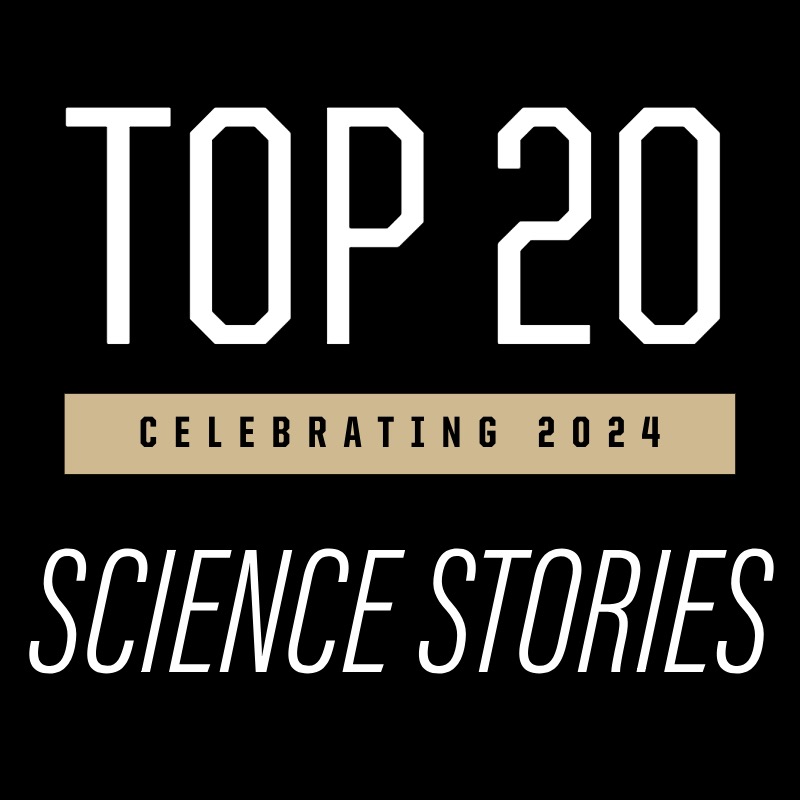 Top 20 stories of 2024