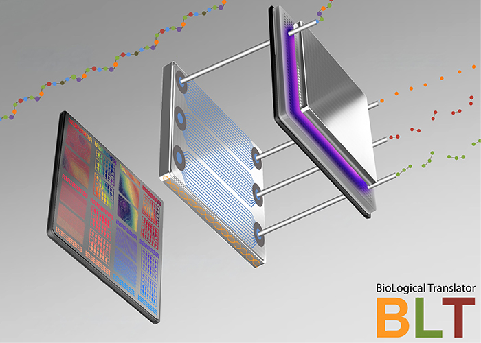 Purdue awarded $8M from DARPA to develop healthcare microsystem that provides more accessible and affordable treatments