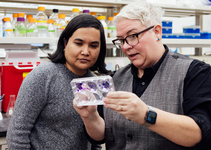 Major NCI Grant Secured to Advance Cancer Research