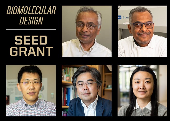 Two research projects selected for Biomolecular Design Seed Grant