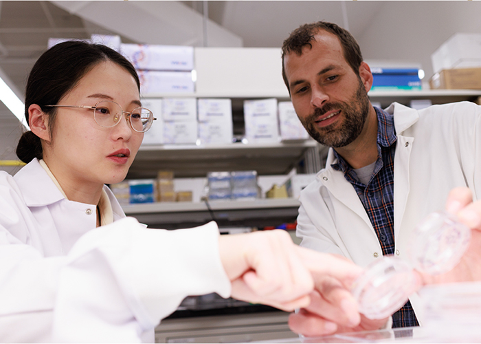 Purdue Researchers Identify New Pathway for Treating Aggressive Vascular Cancer