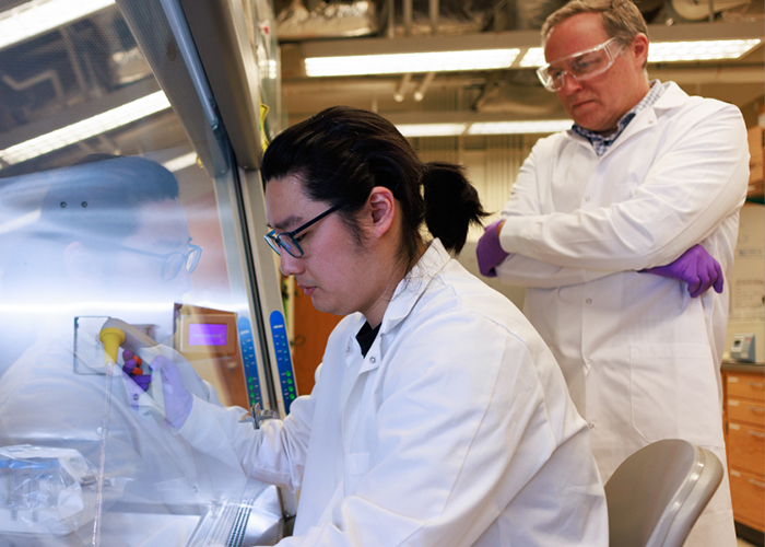 Targeting immune response could make stem cell transplants safer