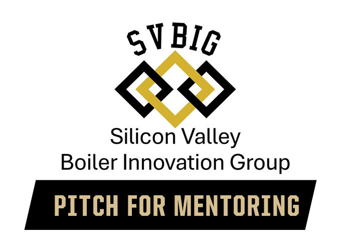 SVBIG Pitch Mentoring