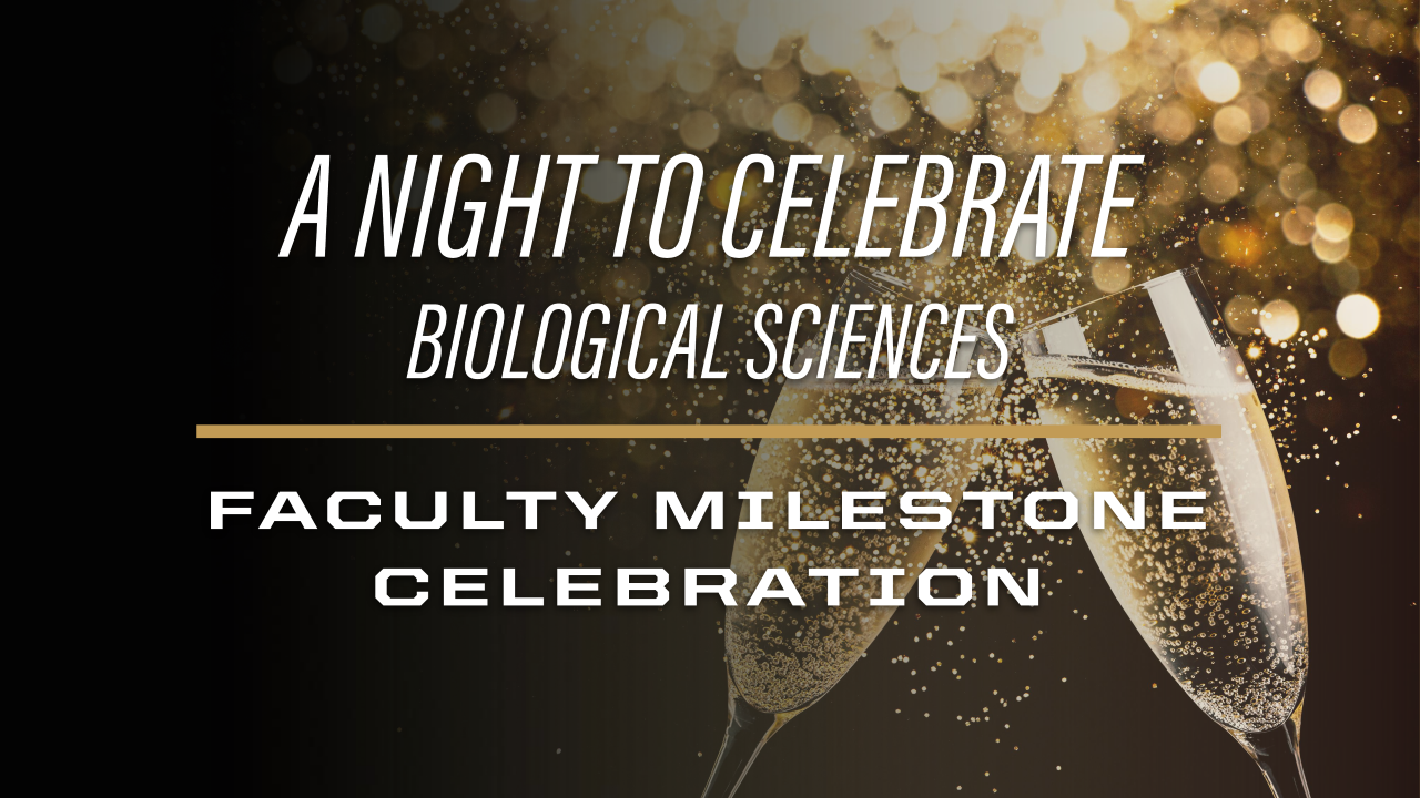 A Night to Celebrate