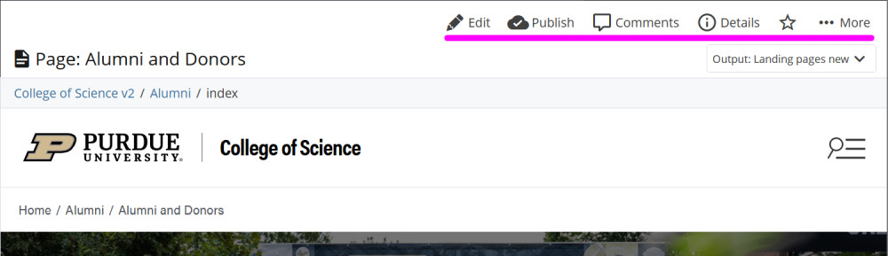 Page editing options