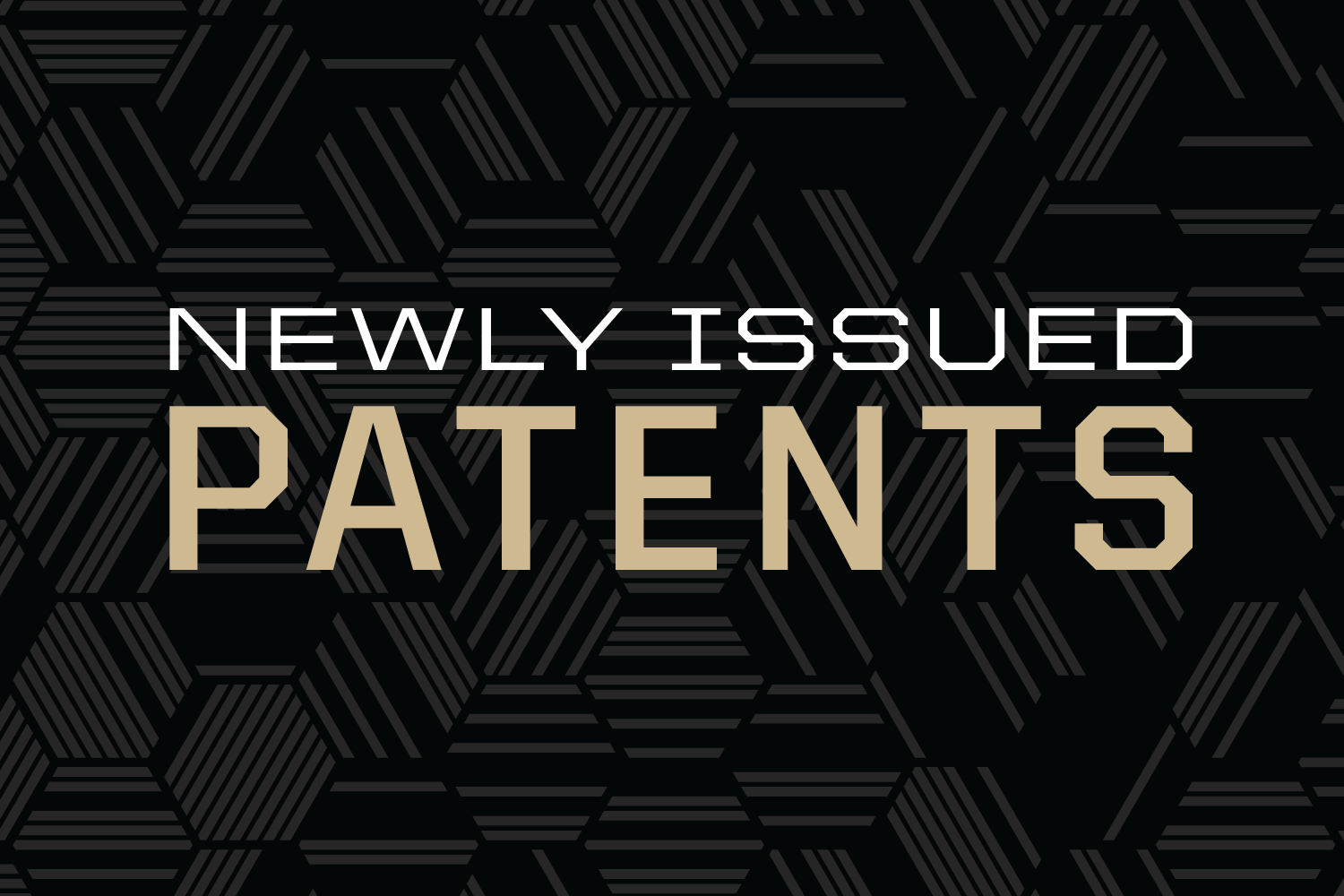 Newly Issued Patents graphic