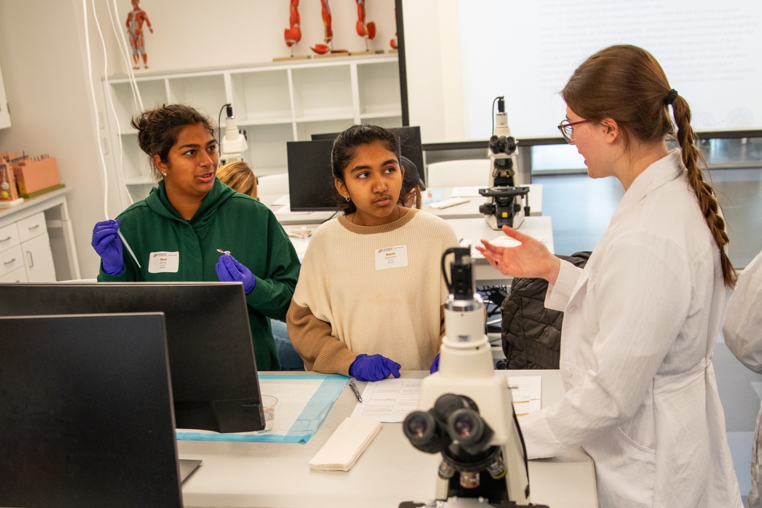Students working in a lab